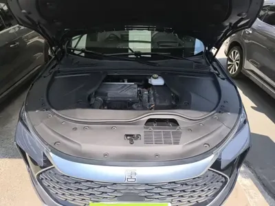 BYD Tang New Energy