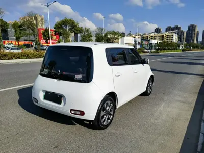 ORA Ora White Cat
