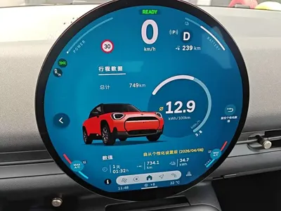 MINI MINI ACEMAN EV