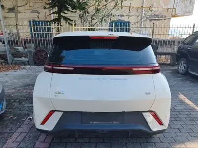 BYD Seagull