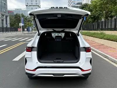 BYD PLUS New Energy