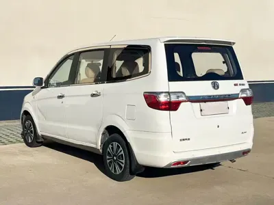 BAW Weiwang M20