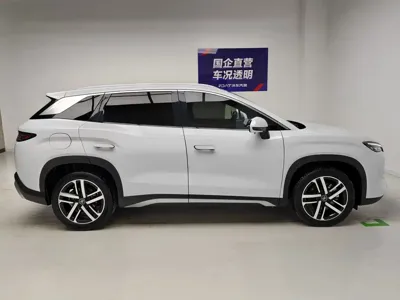 BYD L DM-i