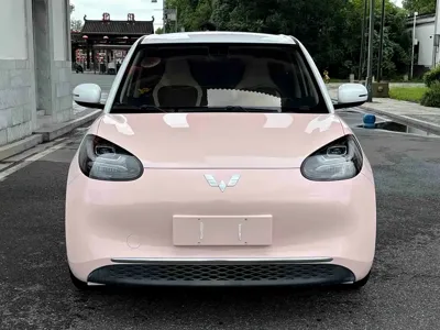 Wuling Bingo