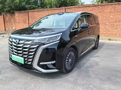 Denza Denza D9
