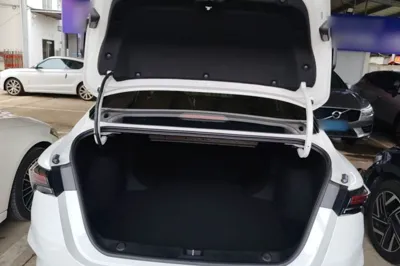 Geely Auto Binray