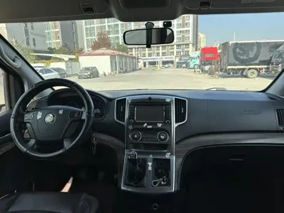 Fengxing Lingzhi PLUS