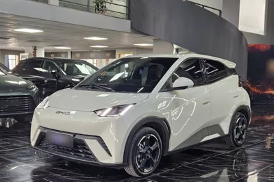 BYD Seagull