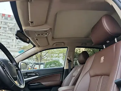 BYD Tang New Energy