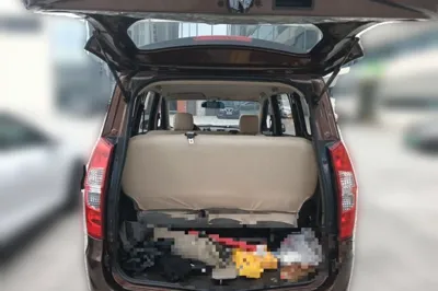 Wuling Hongguang