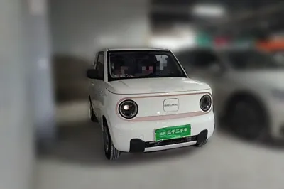 Geely Galaxy Panda