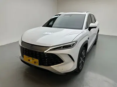 BYD L DM-i