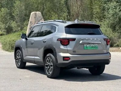 Haval 哈弗大狗 PLUS 新能源