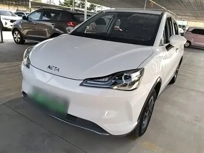 NETA Neta V
