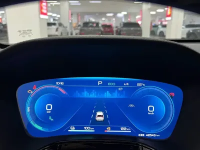 BYD Tang New Energy
