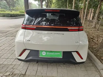 BYD Seagull