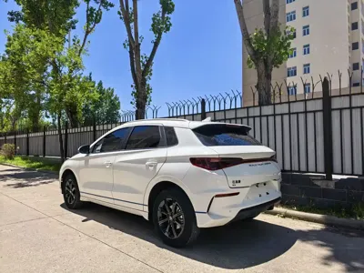 BYD e2