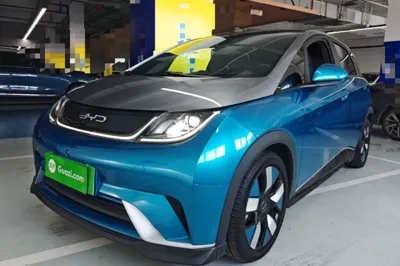 BYD Dolphin