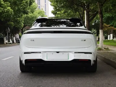 Zeekr 极氪007GT
