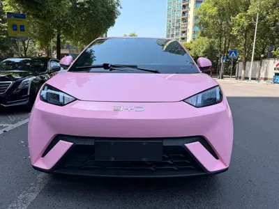 BYD Seagull