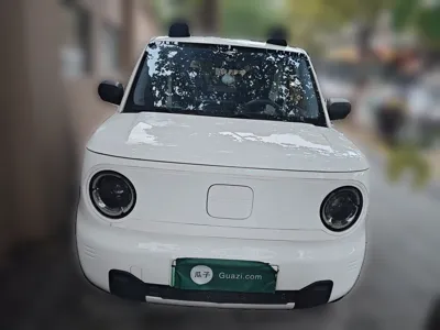 Geely Galaxy Panda