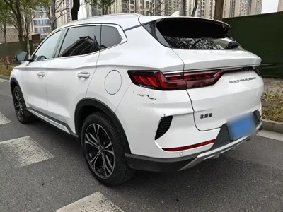 BYD PLUS