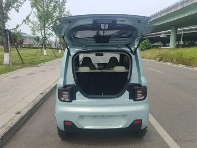 Galaxy Panda