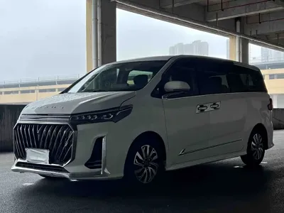 大通 G20