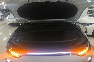 Leapmotor C11