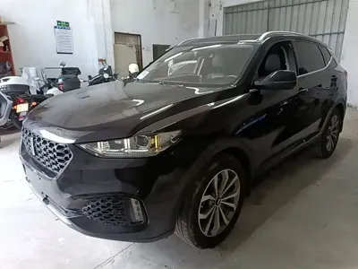 WEY Wey VV6