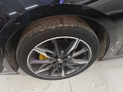 GAC Motor Shadow Leopard