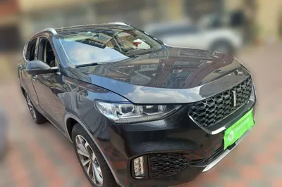 WEY VV6