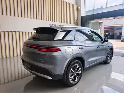 BYD Pro New Energy
