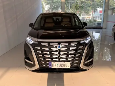 Denza Denza D9