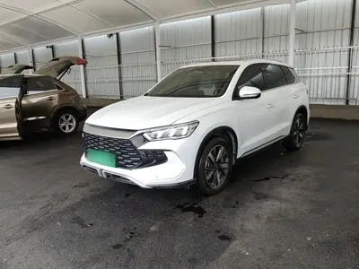 BYD Pro New Energy
