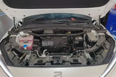 Rising R7