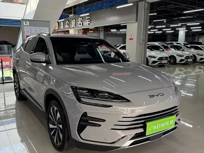 BYD PLUS New Energy