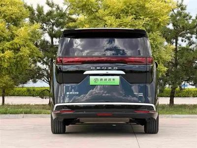 Denza Denza D9