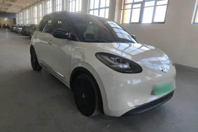 Wuling Bingo