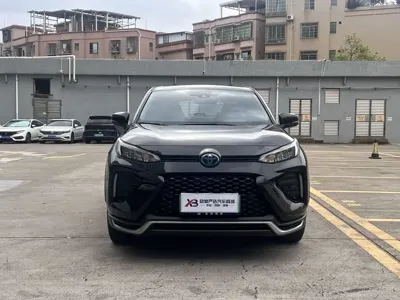 Toyota Wildlander New Energy