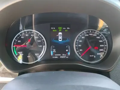 BYD Qin NEV