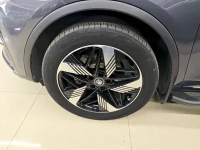 BYD Tang New Energy
