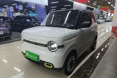 Geely Galaxy Panda