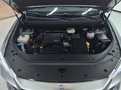 BYD Pro New Energy