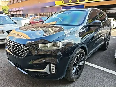 WEY Wey VV6