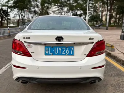 BYD Surui