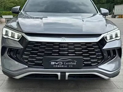 BYD Pro New Energy