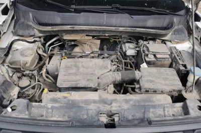 Volkswagen Tacqua