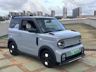 Galaxy Panda