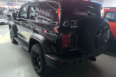 Tank 300